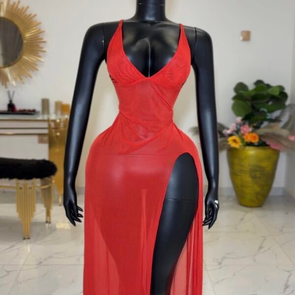 Crimson Allure Mesh Slip